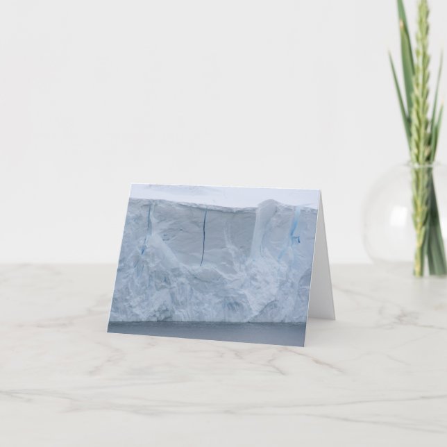 Ice cliffs, Nekko Harbor card Helgkort (Framsida)