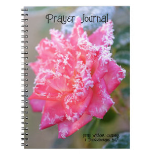 Ice Crystals Ro i Rosa Prayer Journal Anteckningsbok