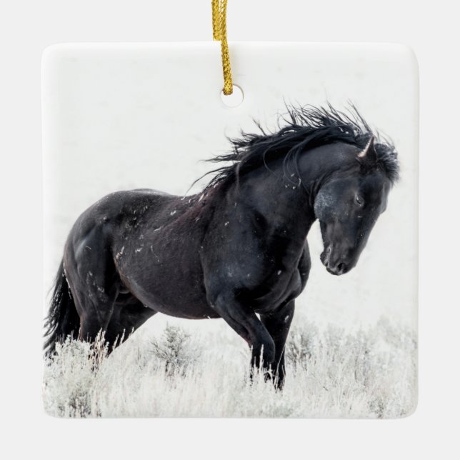 "Ice Dancer" Ornament (Framsida)