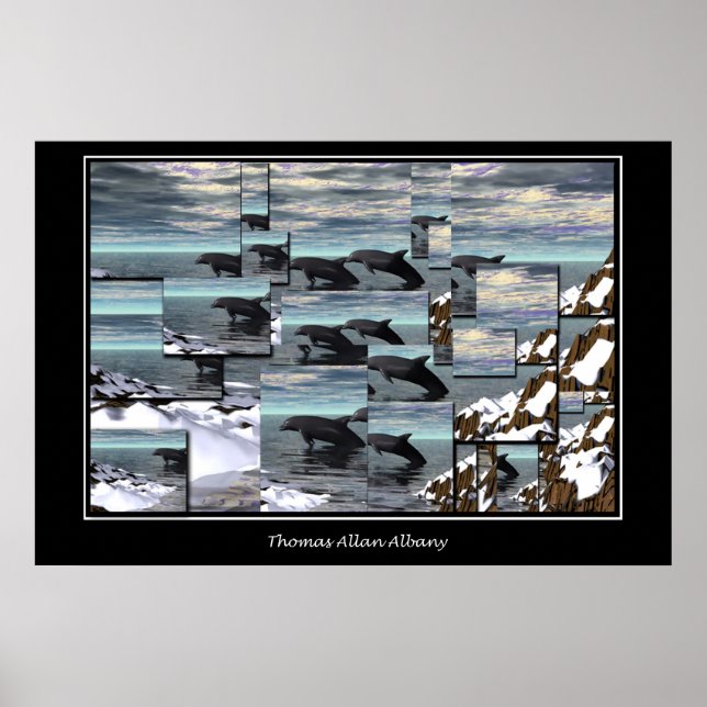 Ice Dolphins Poster (Framsidan)