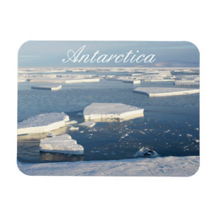 Ice Floes at McMurdo Ljud, Antarctica Magnet