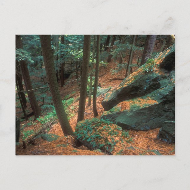 Ice Glen Ravine Vykort (Framsida)