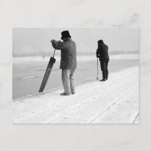 Ice Harvesting 1903 Vykort