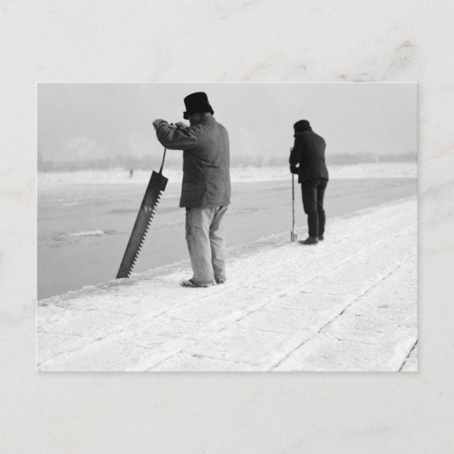 Ice Harvesting 1903 Vykort (Framsida)