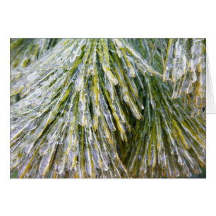 Ice Jackat Gräs Nål Winter Botanical Hälsningskort