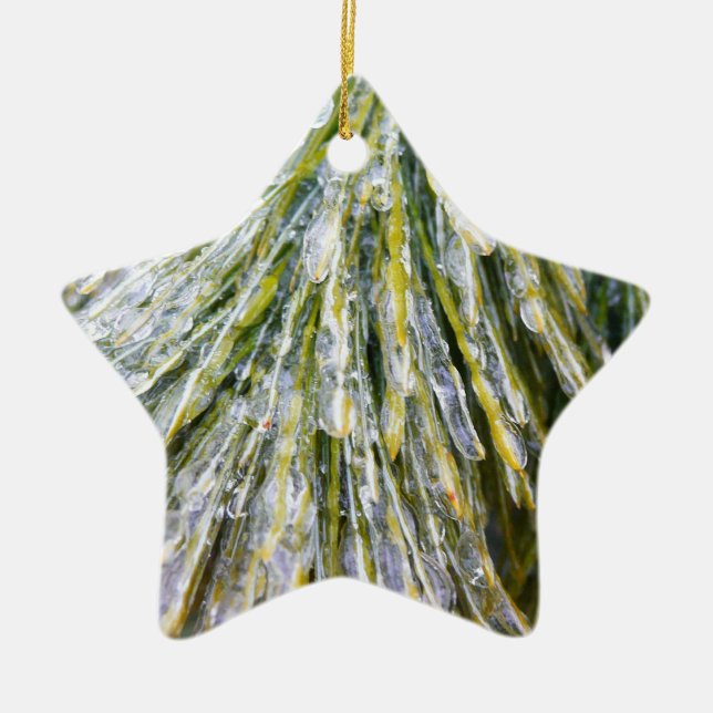 Ice Jackat Gräs Nål Winter Botanical Julgransprydnad Keramik (Framsidan)