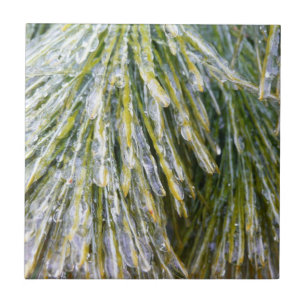 Ice Jackat Gräs Nål Winter Botanical Kakelplatta