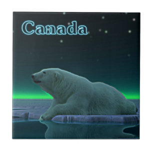 Ice Kant Polar Bear Kakelplatta