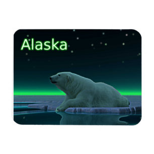 Ice Kant Polar Bear Magnet