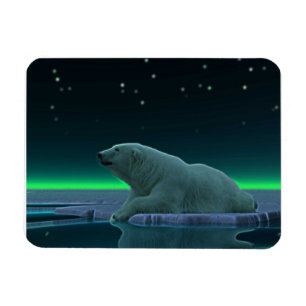 Ice Kant Polar Bear Magnet