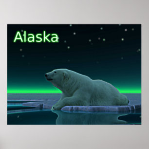 Ice Kant Polar Bear Poster