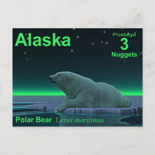 Ice Kant Polar Bear Vykort