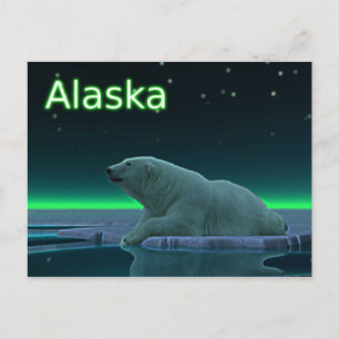 Ice Kant Polar Bear Vykort