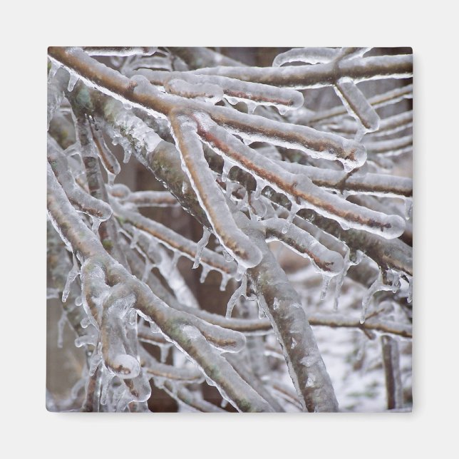 Ice Magnet (Framsidan)