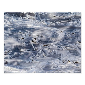  Ice Not ICE Fototryck