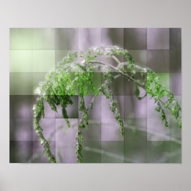 Ice på goldenrod Nature Poster (Framsidan)