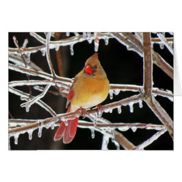 Ice Princess Hälsningskort