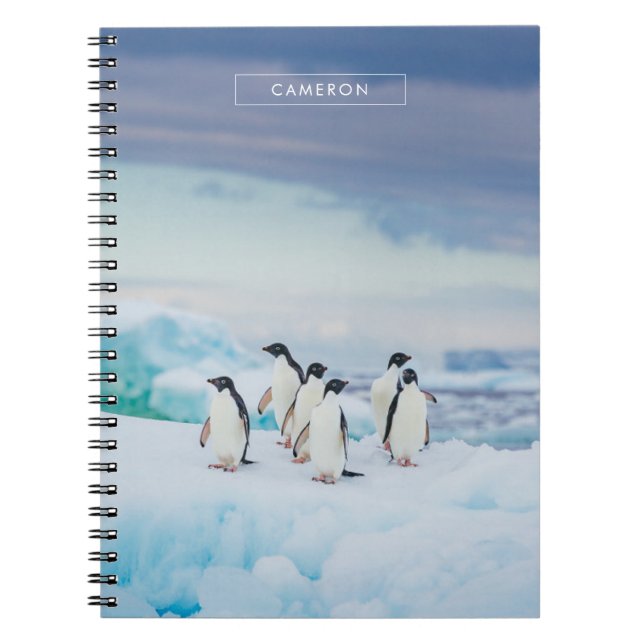Ice & Snö | Adelie Penguins Antarctica Anteckningsbok (Framsidan)