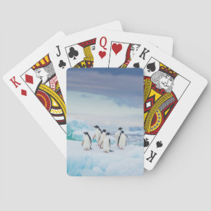 Ice & Snö Adelie Penguins Antarctica Casinokort