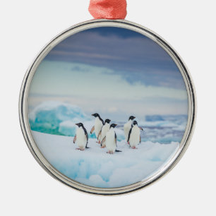 Ice & Snö Adelie Penguins Antarctica Julgransprydnad Metall