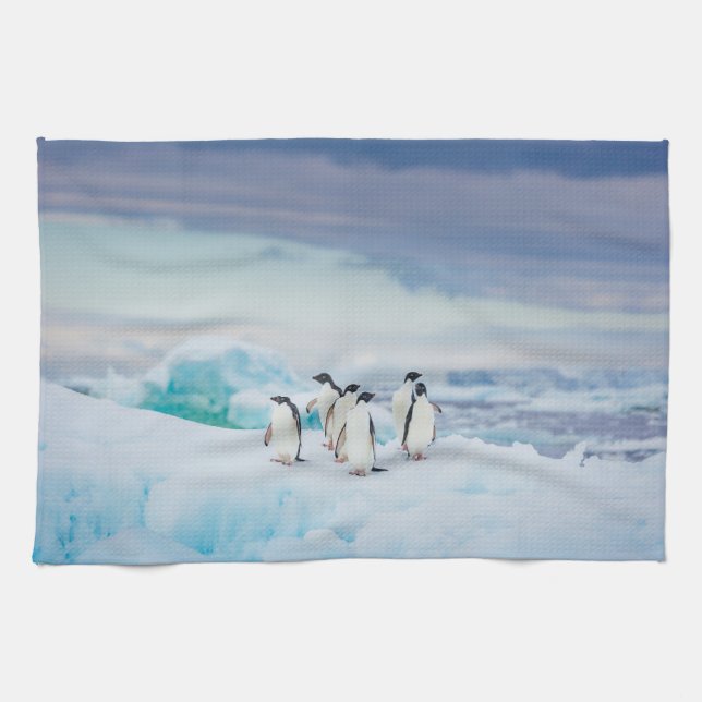 Ice & Snö | Adelie Penguins Antarctica Kökshandduk (Horisontell)