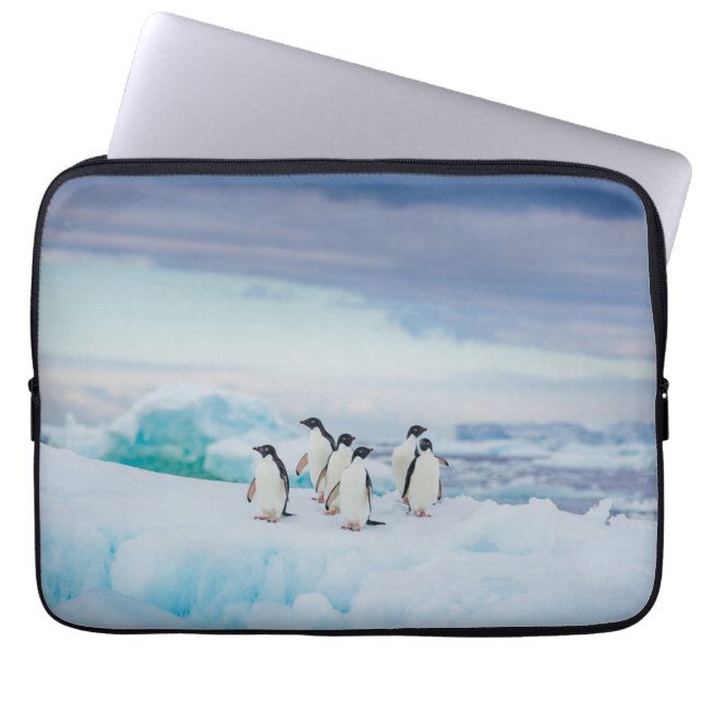 Ice & Snö | Adelie Penguins Antarctica Laptop Fodral (Framsidan)