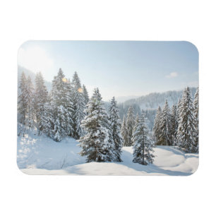 Ice & Snö Allgäu Bavaria Southern Tyskland Magnet