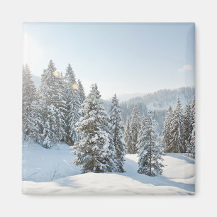 Ice & Snö Allgäu Bavaria Southern Tyskland Magnet