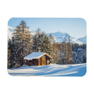 Ice & Snö Alpernor för vinterlogg i Schweiz Magnet