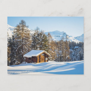 Ice & Snö Alpernor för vinterlogg i Schweiz Vykort