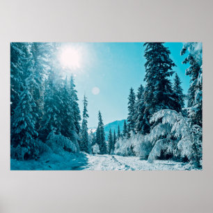 Ice & Snö   Altai naturreservat, Ryssland Poster
