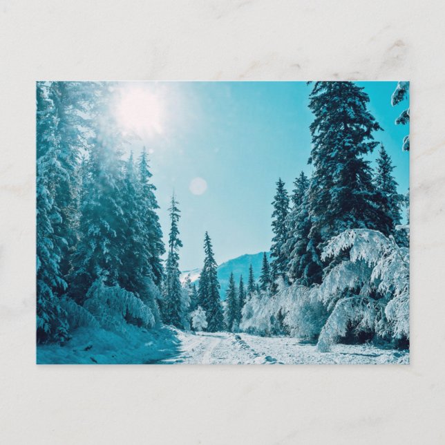 Ice & Snö | Altai naturreservat, Ryssland Vykort (Framsida)