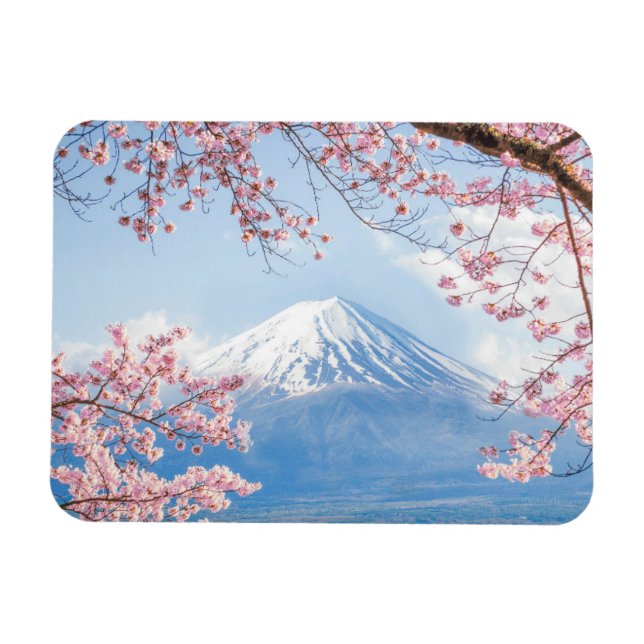 Ice & Snö | Cherry Blommars Mt. Fuji Japan Magnet (Horisontell)