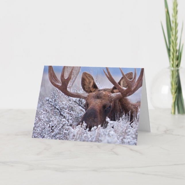 Ice & Snö | Grand Teton National Park Wyoming Kort (Framsida)