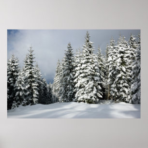Ice & Snö Gräs Woodland, Österrike Poster