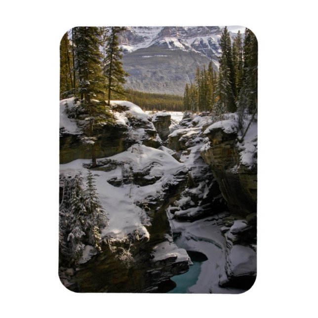 Ice & Snö | Jasper National Park Alberta, Kanada Magnet (Vertikal)