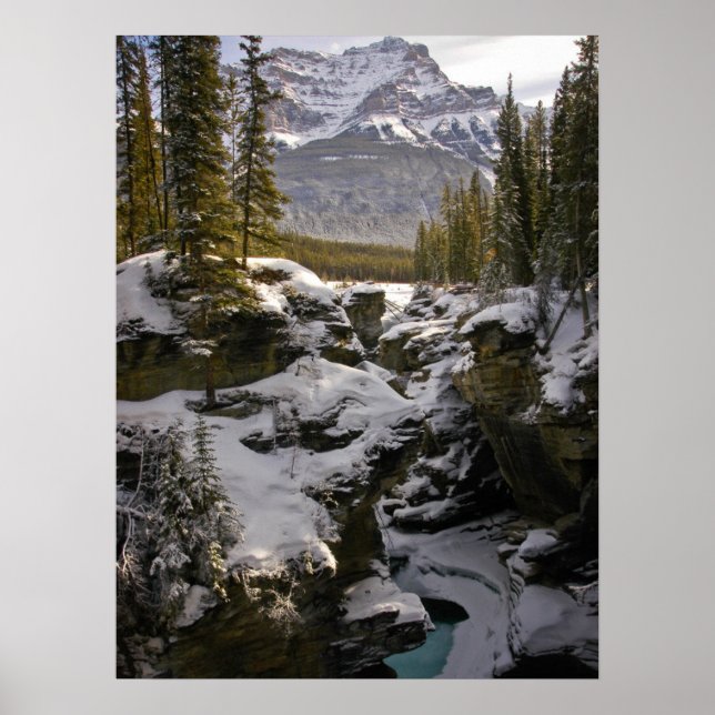 Ice & Snö | Jasper National Park Alberta, Kanada Poster (Framsidan)