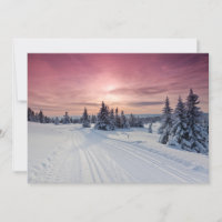 Ice & Snö | Lillehammer, Norge