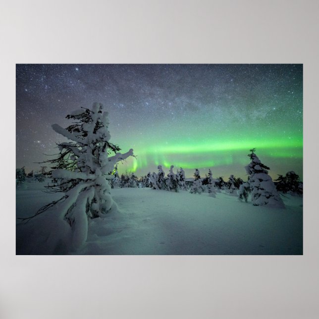 Ice & Snö | Nationalparken Pallas-Yllastunturi Poster (Framsidan)