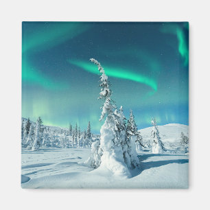 Ice & Snö Norra Ljus, Lappland, Finland Magnet