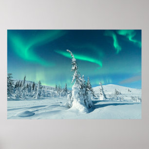 Ice & Snö   Norra Ljus, Lappland, Finland Poster