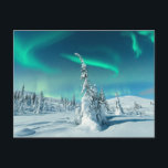 Ice & Snö | Norra Ljus, Lappland, Finland Vykort<br><div class="desc">Fotot från fantastisk Getty Bilder har månljus på en skog med tak över snö under Ljus,  Levi,  Lappland,  Finland.</div>