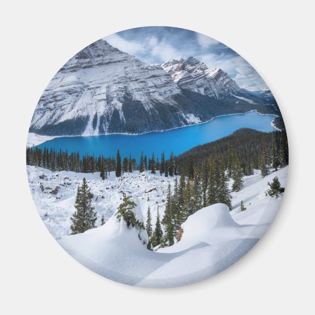 Ice & Snö | Peyto Sjö, Canadian Rockies Magnet (Framsidan)