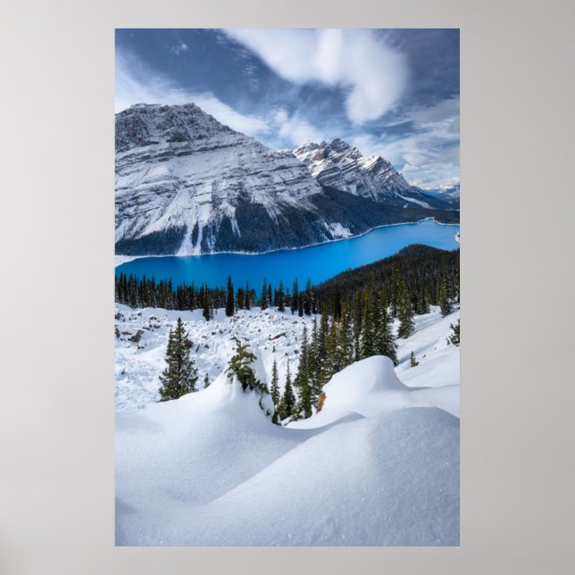 Ice & Snö | Peyto Sjö, Canadian Rockies Poster (Framsidan)