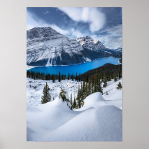 Ice & Snö Peyto Sjö, Canadian Rockies Poster