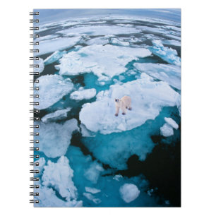Ice & Snö Polar Bear, Arktiska oceanen, Svalbard Anteckningsbok
