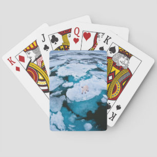 Ice & Snö Polar Bear, Arktiska oceanen, Svalbard Casinokort