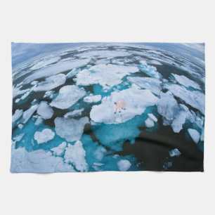 Ice & Snö Polar Bear, Arktiska oceanen, Svalbard Kökshandduk