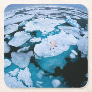 Ice & Snö Polar Bear, Arktiska oceanen, Svalbard Underlägg Papper Kvadrat