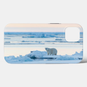 Ice & Snö   Polar Bear Iceberg Norge